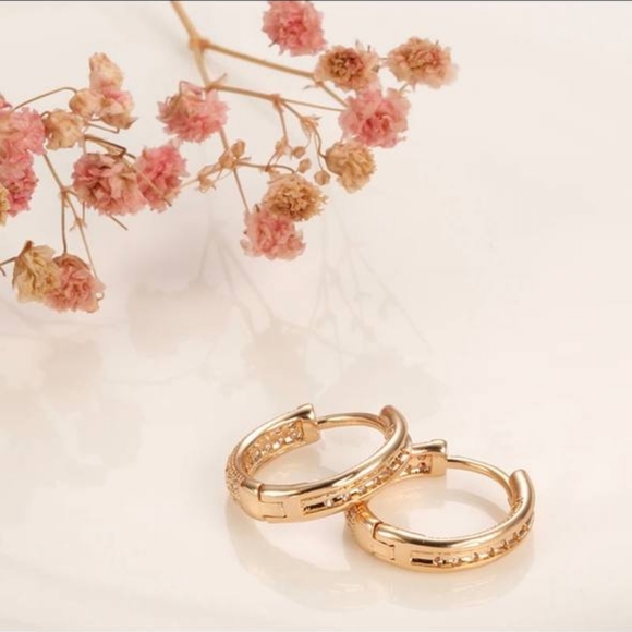 Classic Double Layer Hoop Earrings - Picture 2 of 4